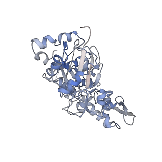 10959_6yw6_A_v1-1
Cryo-EM structure of the ARP2/3 1B5CL isoform complex.