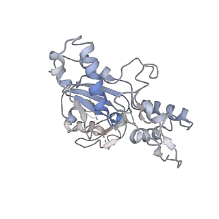10959_6yw6_B_v1-1
Cryo-EM structure of the ARP2/3 1B5CL isoform complex.