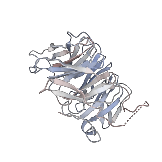 10959_6yw6_C_v1-1
Cryo-EM structure of the ARP2/3 1B5CL isoform complex.