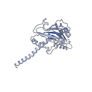 10959_6yw6_D_v1-1
Cryo-EM structure of the ARP2/3 1B5CL isoform complex.