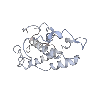 10959_6yw6_E_v1-1
Cryo-EM structure of the ARP2/3 1B5CL isoform complex.