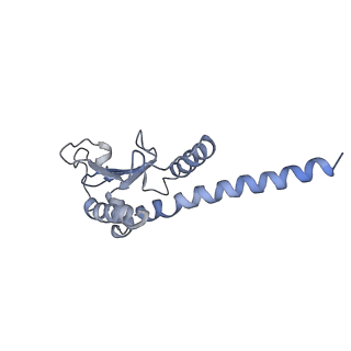 10959_6yw6_F_v1-1
Cryo-EM structure of the ARP2/3 1B5CL isoform complex.