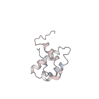 10959_6yw6_G_v1-1
Cryo-EM structure of the ARP2/3 1B5CL isoform complex.