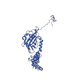 10973_6yws_1_v1-0
The structure of the large subunit of the mitoribosome from Neurospora crassa