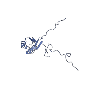 10973_6yws_4_v1-0
The structure of the large subunit of the mitoribosome from Neurospora crassa