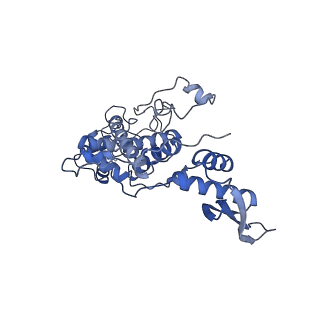 10973_6yws_5_v1-0
The structure of the large subunit of the mitoribosome from Neurospora crassa