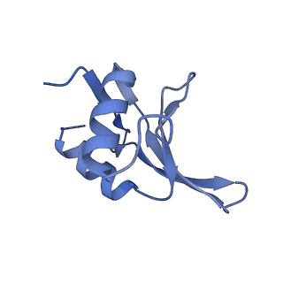 10973_6yws_7_v1-0
The structure of the large subunit of the mitoribosome from Neurospora crassa