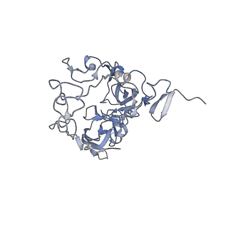 10973_6yws_B_v1-0
The structure of the large subunit of the mitoribosome from Neurospora crassa
