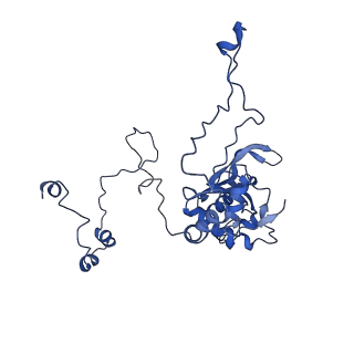 10973_6yws_E_v1-0
The structure of the large subunit of the mitoribosome from Neurospora crassa