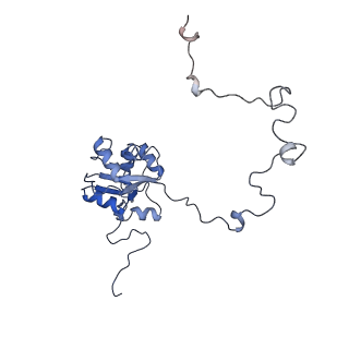 10973_6yws_J_v1-0
The structure of the large subunit of the mitoribosome from Neurospora crassa