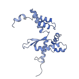 10973_6yws_L_v1-0
The structure of the large subunit of the mitoribosome from Neurospora crassa