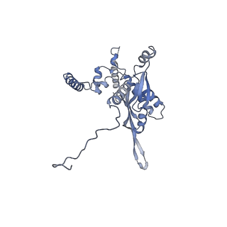 10973_6yws_O_v1-0
The structure of the large subunit of the mitoribosome from Neurospora crassa