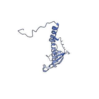 10973_6yws_P_v1-0
The structure of the large subunit of the mitoribosome from Neurospora crassa