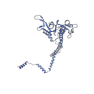 10973_6yws_Q_v1-0
The structure of the large subunit of the mitoribosome from Neurospora crassa