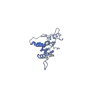 10973_6yws_S_v1-0
The structure of the large subunit of the mitoribosome from Neurospora crassa