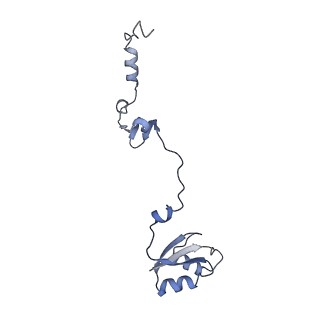 10973_6yws_U_v1-0
The structure of the large subunit of the mitoribosome from Neurospora crassa