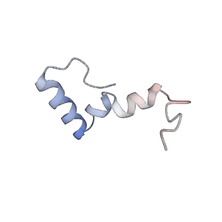 10973_6yws_Y_v1-0
The structure of the large subunit of the mitoribosome from Neurospora crassa