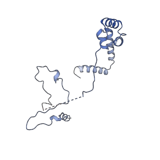 10973_6yws_a_v1-0
The structure of the large subunit of the mitoribosome from Neurospora crassa