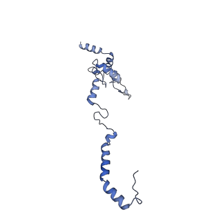 10973_6yws_b_v1-0
The structure of the large subunit of the mitoribosome from Neurospora crassa
