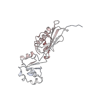 10973_6yws_e_v1-0
The structure of the large subunit of the mitoribosome from Neurospora crassa