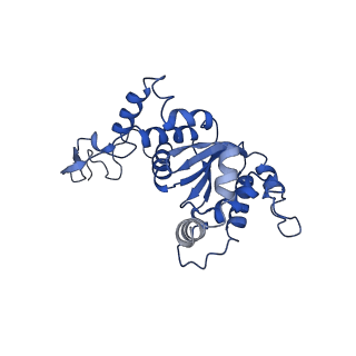 10973_6yws_f_v1-0
The structure of the large subunit of the mitoribosome from Neurospora crassa