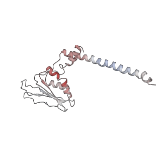 10973_6yws_j_v1-0
The structure of the large subunit of the mitoribosome from Neurospora crassa