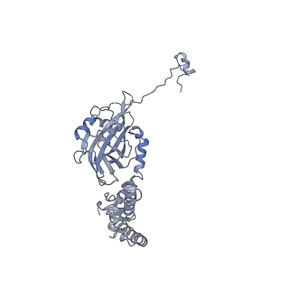 10977_6ywv_1_v1-0
The structure of the Atp25 bound assembly intermediate of the mitoribosome from Neurospora crassa
