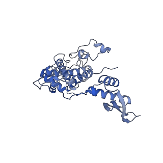 10977_6ywv_5_v1-0
The structure of the Atp25 bound assembly intermediate of the mitoribosome from Neurospora crassa