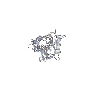 10977_6ywv_6_v1-0
The structure of the Atp25 bound assembly intermediate of the mitoribosome from Neurospora crassa