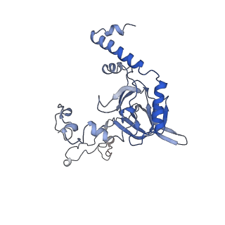 10977_6ywv_C_v1-0
The structure of the Atp25 bound assembly intermediate of the mitoribosome from Neurospora crassa