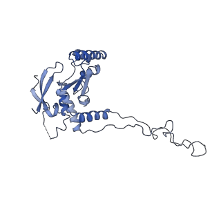 10977_6ywv_D_v1-0
The structure of the Atp25 bound assembly intermediate of the mitoribosome from Neurospora crassa