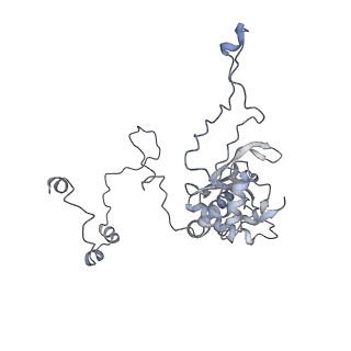 10977_6ywv_E_v1-0
The structure of the Atp25 bound assembly intermediate of the mitoribosome from Neurospora crassa