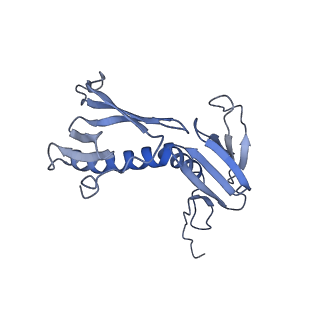 10977_6ywv_F_v1-0
The structure of the Atp25 bound assembly intermediate of the mitoribosome from Neurospora crassa