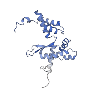 10977_6ywv_L_v1-0
The structure of the Atp25 bound assembly intermediate of the mitoribosome from Neurospora crassa