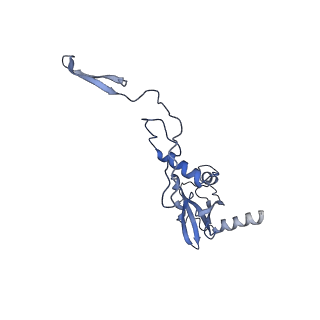 10977_6ywv_M_v1-0
The structure of the Atp25 bound assembly intermediate of the mitoribosome from Neurospora crassa