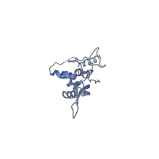 10977_6ywv_S_v1-0
The structure of the Atp25 bound assembly intermediate of the mitoribosome from Neurospora crassa