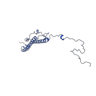10977_6ywv_T_v1-0
The structure of the Atp25 bound assembly intermediate of the mitoribosome from Neurospora crassa