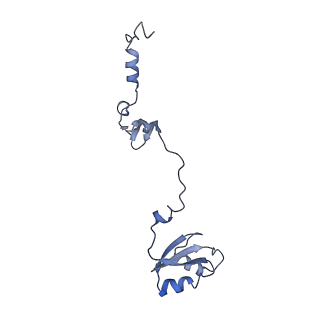 10977_6ywv_U_v1-0
The structure of the Atp25 bound assembly intermediate of the mitoribosome from Neurospora crassa
