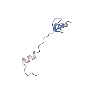 10977_6ywv_W_v1-0
The structure of the Atp25 bound assembly intermediate of the mitoribosome from Neurospora crassa