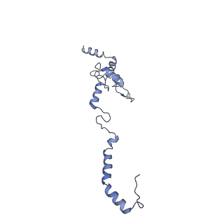 10977_6ywv_b_v1-0
The structure of the Atp25 bound assembly intermediate of the mitoribosome from Neurospora crassa