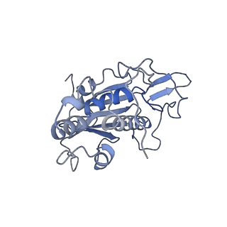 10977_6ywv_d_v1-0
The structure of the Atp25 bound assembly intermediate of the mitoribosome from Neurospora crassa