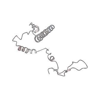 10977_6ywv_i_v1-0
The structure of the Atp25 bound assembly intermediate of the mitoribosome from Neurospora crassa
