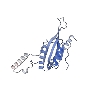 10977_6ywv_n_v1-0
The structure of the Atp25 bound assembly intermediate of the mitoribosome from Neurospora crassa
