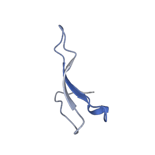 10978_6ywx_0_v1-0
The structure of the mitoribosome from Neurospora crassa with tRNA bound to the E-site