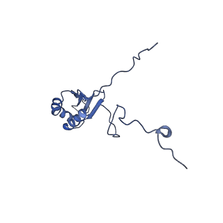 10978_6ywx_4_v1-0
The structure of the mitoribosome from Neurospora crassa with tRNA bound to the E-site