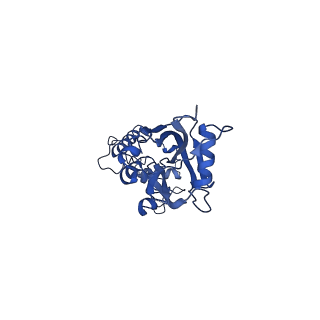 10978_6ywx_6_v1-0
The structure of the mitoribosome from Neurospora crassa with tRNA bound to the E-site
