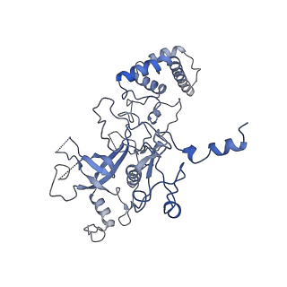 10978_6ywx_AA_v1-0
The structure of the mitoribosome from Neurospora crassa with tRNA bound to the E-site