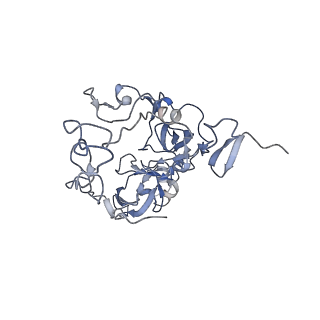 10978_6ywx_B_v1-0
The structure of the mitoribosome from Neurospora crassa with tRNA bound to the E-site