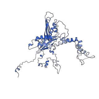 10978_6ywx_CC_v1-0
The structure of the mitoribosome from Neurospora crassa with tRNA bound to the E-site