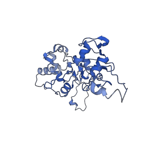 10978_6ywx_DD_v1-0
The structure of the mitoribosome from Neurospora crassa with tRNA bound to the E-site